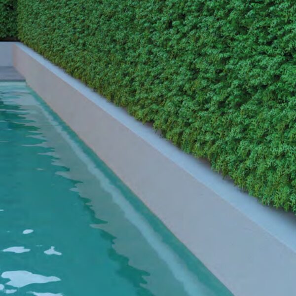 Piscina SWIM - Imagen 2